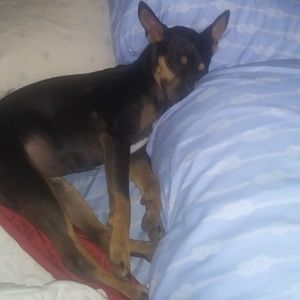 Meet your Posher, Vickie